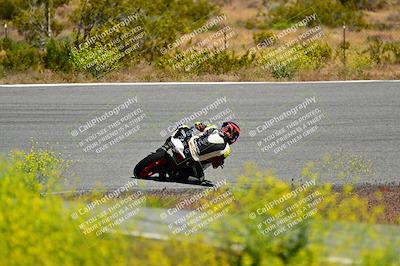 media/May-10-2024-2WTD (Fri) [[c88d7990af]]/Group B/Session 2-The Bowl/